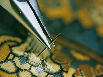 ahmet-bayrakdar-hali-tamircisi-basinda